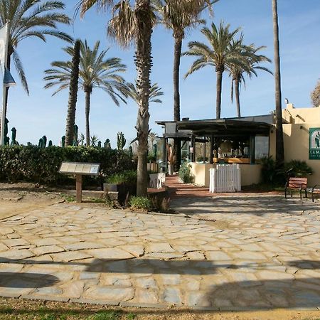 Apartamentos Martalia Marbella Banus Eksteriør billede